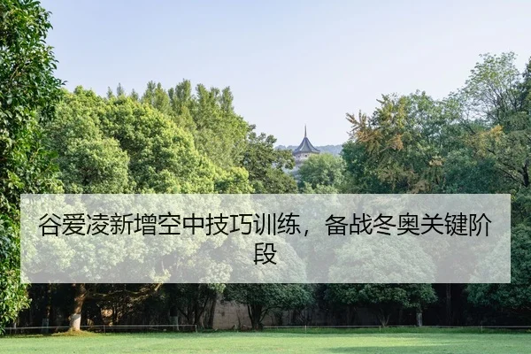 谷爱凌新增空中技巧训练，备战冬奥关键阶段