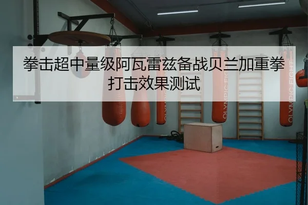 quan-ji-chao-zhong-liang-ji-a-wa-lei-zi-bei-zhan-bei-lan-jia-zhong-quan-da-ji-xiao-guo-ce-shi-3-198.jpg