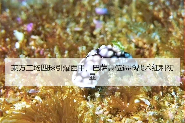 lai-wan-san-chang-si-qiu-yin-bao-xi-jia-ba-sa-gao-wei-bi-qiang-zhan-shu-hong-li-chu-xian-3-720.jpg